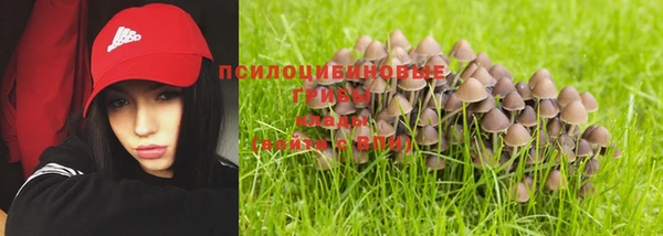 прущая мука Елизово