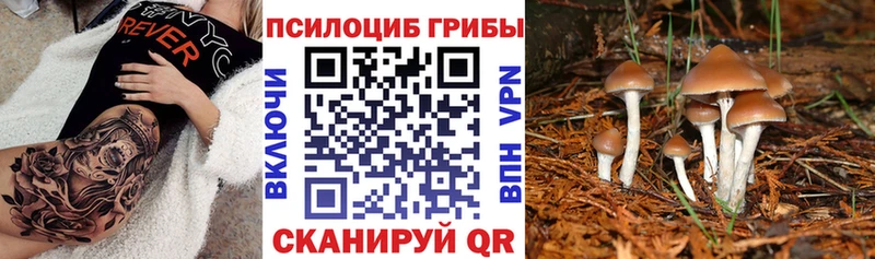 Купить  Изобильный  Псилоцибиновые грибы MAGIC MUSHROOMS 